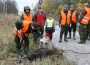 Ajujahil ja jahikoertel on jahimeeste tegevuses oluline roll; sel aastal tuleb mõnelgi jahtkonnal neist loobuda või piirangutega arvestada.