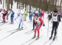 Kuigi osalejaid oli tänavusel lumevaesel talvel varasemast vähem, moodustasid pool tuhat 44 km rajale läinud suusatajat Kurtna metsade vahel pika lookleva keti.