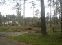 Alajõe elanikud kardavad, et neid võib ees oodata samasugune pilt nagu neli aastat tagasi Kauksis, kui sealsel puhkealal lageraiet tehti.