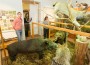 Loodustoas on võimalik kuulda 60 looma ja lindu häälitsemas.